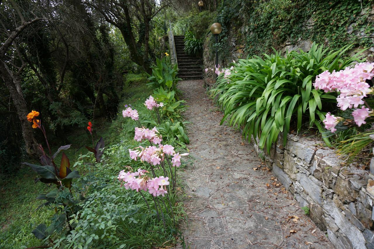 Casa Del Nespolo Villa Zoagli Dış mekan fotoğraf