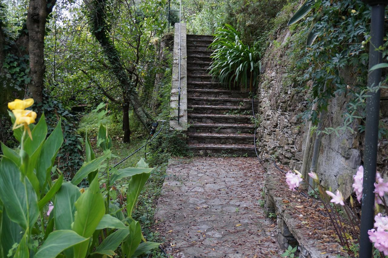 Casa Del Nespolo Villa Zoagli Dış mekan fotoğraf